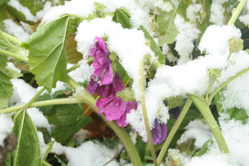 IMG_0783.jpg1.jpg"%20height="533"%20width="800